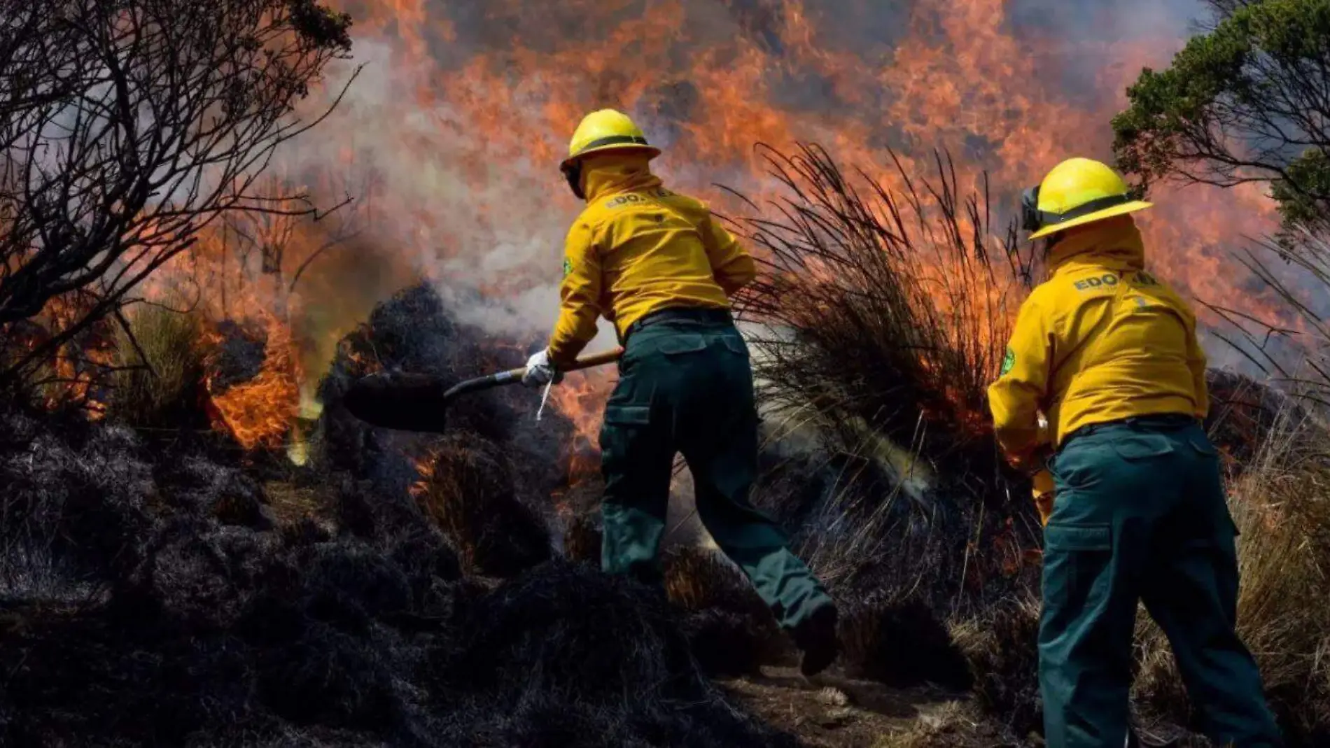 incendio forestal